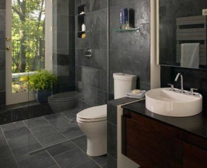 Small-Bathroom-Ideas-Kohler-Frameless-Shower