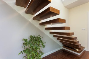 Bright space - stairs and plant